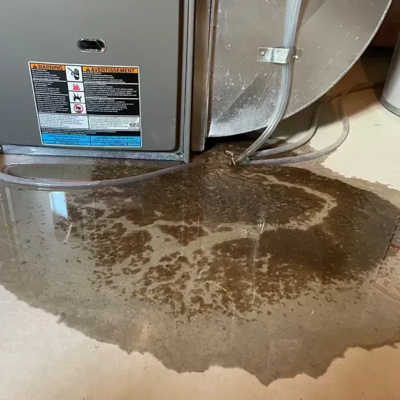 Appliance Leak Cleanup in Vienna, IL